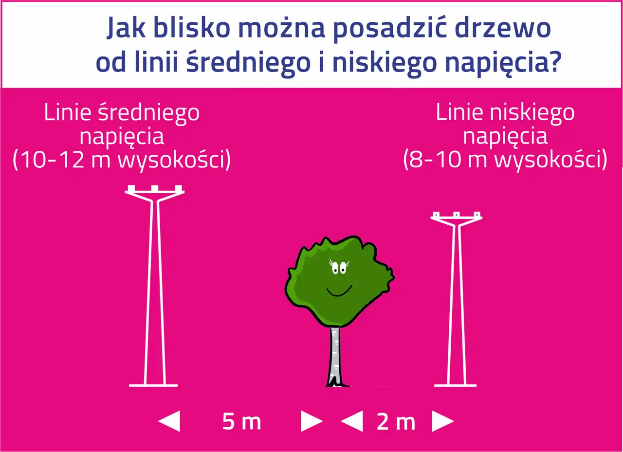 Linia 400 kV - Bezpieczna odległość? Sprawdź, zanim zbudujesz!