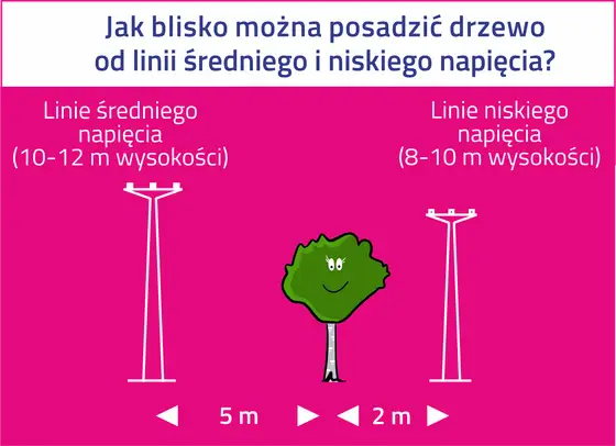 Linia 400 kV - Bezpieczna odległość? Sprawdź, zanim zbudujesz!